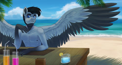 Size: 1280x692 | Tagged: safe, artist:tigra0118, derpibooru import, oc, anthro, pegasus, artfight, beach, digital art, male, solo