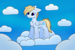 Size: 1920x1280 | Tagged: safe, artist:keupoz, derpibooru import, oc, oc only, oc:terncode, pegasus, cloud, commission, on a cloud, pegasus oc, sky, standing on a cloud