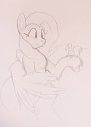 Size: 2009x2819 | Tagged: safe, artist:yidwags, derpibooru import, fluttershy, pegasus, squirrel, bipedal, cute, daaaaaaaaaaaw, raised hoof, raised leg, shyabetes, sketch, traditional art