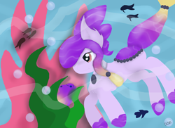 Size: 2000x1458 | Tagged: safe, artist:saphiresong98, derpibooru import, oc, oc only, earth pony, fish, pony, bubble, contest entry, female, flowing tail, ocean, purple mane, purple tail, red eyes, seaweed, solo, swimming, underwater, water