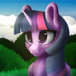 Size: 4096x4096 | Tagged: safe, artist:darbedarmoc, derpibooru import, twilight sparkle, twilight sparkle (alicorn), alicorn, pony, unicorn, chest fluff, cloud, disgusted, ear fluff, ears, grass, looking forward, solo, two toned mane