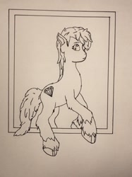 Size: 908x1211 | Tagged: safe, artist:autumnsfurart, derpibooru import, oc, oc only, earth pony, pony, earth pony oc, lineart, solo, traditional art, unshorn fetlocks