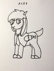 Size: 924x1232 | Tagged: safe, artist:autumnsfurart, derpibooru import, oc, oc only, pegasus, pony, cloak, clothes, lineart, pegasus oc, smiling, solo, traditional art, wings