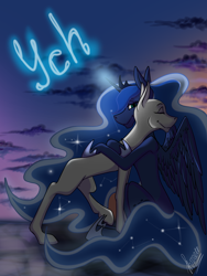 Size: 3000x4000 | Tagged: safe, artist:stirren, derpibooru import, princess luna, oc, alicorn, pony, commission, night, sky, solo, your character here