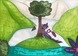 Size: 1280x927 | Tagged: safe, artist:lil_vampirecj, derpibooru import, twilight sparkle, twilight sparkle (alicorn), alicorn, pony, art, bookhorse, bush, deviantart watermark, flower, hill, lying down, magic, obtrusive watermark, photo, reading, river, scenery, sitting, solo, traditional art, tree, watermark