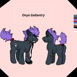 Size: 2000x2000 | Tagged: safe, artist:skullfugg, derpibooru import, oc, oc:onyx gallantry, earth pony, pony, collar, earth pony oc, feral, leash, reference sheet, simple background, solo, spiked collar