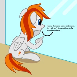 Size: 1200x1200 | Tagged: safe, artist:wzngtx, derpibooru import, oc, oc:felix gulfstream, pegasus, feather, male, sad