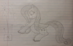 Size: 1280x814 | Tagged: safe, artist:essentialsingularity, derpibooru import, fluttershy, pegasus, pony, arachnophobia, atg 2021, ear fluff, ears, fireworks, newbie artist training grounds, out of character, pencil drawing, prancing, scared, solo, traditional art, unshorn fetlocks