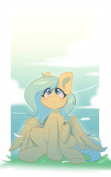 Size: 1223x1938 | Tagged: safe, artist:colorfulcolor233, derpibooru import, oc, oc only, pegasus, pony, cloud, cute, female, grass, mare, sky, solo