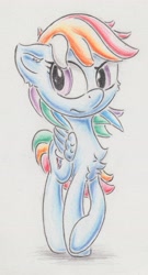 Size: 2387x4407 | Tagged: safe, artist:itchystomach, derpibooru import, rainbow dash, pegasus, pony, backwards cutie mark, pencil drawing, solo, traditional art