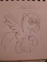 Size: 1536x2048 | Tagged: safe, artist:fireantdraws, derpibooru import, oc, oc only, oc:speed-flyer, pegasus, glasses, practice drawing, solo, traditional art