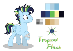 Size: 1890x1338 | Tagged: safe, artist:sarasdream04, derpibooru import, oc, oc:tropical flash, pegasus, pony, male, offspring, parent:rainbow dash, parent:soarin', parents:soarindash, reference sheet, simple background, solo, stallion, transparent background