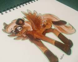 Size: 444x354 | Tagged: safe, artist:kefico, derpibooru import, oc, oc only, pegasus, pony, coat markings, female, mare, pegasus oc, signature, smiling, socks (coat marking), solo, traditional art, wings