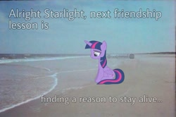 Size: 1087x720 | Tagged: artist needed, safe, derpibooru import, edit, editor:notxweeb, twilight sparkle, twilight sparkle (alicorn), alicorn, pony, beach, crying, irl, meme, photo, ponies in real life, sad smile, solo