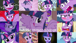 Size: 1280x720 | Tagged: safe, derpibooru import, edit, edited screencap, editor:quoterific, screencap, twilight sparkle, twilight sparkle (alicorn), unicorn twilight, alicorn, pony, unicorn, a trivial pursuit, bats!, best gift ever, lesson zero, look before you sleep, made in manehattan, party pooped, tanks for the memories, the ticket master, three's a crowd, twilight's kingdom, blushing, breaking the fourth wall, close-up, cute, eye shimmer, faic, golden oaks library, pudding face, spoiler alert, this is trivia trot, trivia trot, twiabetes, winter is coming