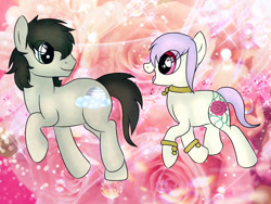 Size: 1600x1200 | Tagged: safe, artist:isadamu, derpibooru import, oc, oc only, earth pony, pony, abstract background, base used, choker, duo, earth pony oc, female, flower, looking back, male, mare, rose, smiling, stallion