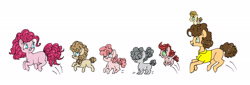 Size: 2048x696 | Tagged: safe, artist:ukulelepineapplecat, derpibooru import, cheese sandwich, pinkie pie, oc, earth pony, pony, baby, baby pony, cheesepie, clothes, earth pony oc, female, filly, looking back, male, mare, offspring, parent:cheese sandwich, parent:pinkie pie, parents:cheesepie, ponies riding ponies, pony hat, pronking, riding, shipping, simple background, smiling, stallion, straight, white background