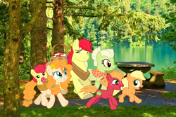 Size: 1144x766 | Tagged: safe, artist:cheezedoodle96, artist:lachlancarr1996, derpibooru import, apple bloom, applejack, big macintosh, bright mac, granny smith, pear butter, earth pony, baby, baby apple bloom, basket, colt, colt big macintosh, female, filly, filly applejack, irl background, male, pacifier, picnic basket, younger