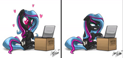 Size: 1681x797 | Tagged: safe, artist:ceehoff, derpibooru import, oc, oc only, oc:scribbler, earth pony, pony, angry, computer, duo, earth pony oc, female, grumpy, heart, laptop computer, mare, signature, simple background, sitting, white background