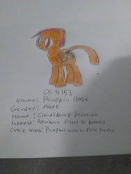 Size: 2448x3264 | Tagged: safe, artist:iloveponies, derpibooru import, oc, pegasus, description, female, mare, pegasus oc, photo, solo, traditional art