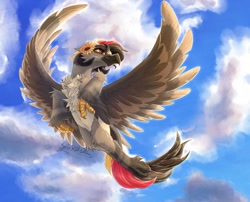 Size: 1540x1242 | Tagged: safe, artist:thatonegib, derpibooru import, oc, griffon, beak, claws, cloud, colored wings, commission, flower, flying, large wings, looking up, multicolored hair, multicolored wings, paws, solo, sunflower, wings, ych result