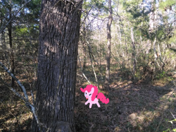 Size: 838x628 | Tagged: safe, artist:breezietype, derpibooru import, edit, pinkie pie, earth pony, pony, edited photo, female, forest, mare, outdoors, photo, solo, tongue, tongue out, tree
