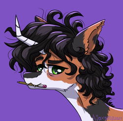 Size: 1616x1591 | Tagged: safe, artist:ajax, artist:willdrawhere, derpibooru import, oc, oc:bert, cat, cat pony, original species, pony, unicorn, curly hair, fangs, icon, pencil, sharp teeth, solo, teeth