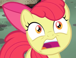 Size: 921x704 | Tagged: safe, derpibooru import, screencap, apple bloom, earth pony, pony, bloom and gloom, season 5, close-up, cropped, open mouth, scared, solo, volumetric mouth