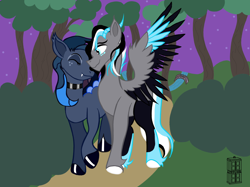 Size: 2732x2048 | Tagged: safe, artist:darktimemunk, derpibooru import, oc, pegasus, couple, night