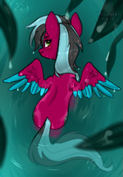 Size: 471x671 | Tagged: safe, artist:thomas_ray, derpibooru import, oc, oc only, oc:razzmatazz gleam, pegasus, pony, female, high angle, looking at you, looking up, looking up at you, mare, rear view, solo, spread wings, swimming, wings