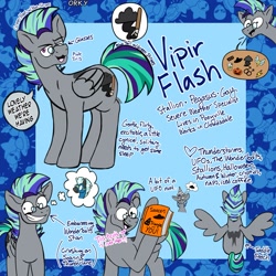 Size: 1773x1773 | Tagged: safe, artist:orky, derpibooru import, thunderlane, oc, oc:vipir flash, pony, glasses, male, reference sheet, smiling, solo, stallion, ufo, x-files