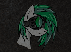 Size: 4096x2989 | Tagged: safe, derpibooru import, oc, oc only, oc:flare, oc:illume, pegasus, pony, bust, disguise, disguised changeling, female, goggles, high res, mare, night vision goggles, portrait, profile, solo