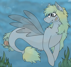 Size: 1024x953 | Tagged: safe, artist:cupidity4200, derpibooru import, oc, oc only, merpony, pegasus, pony, seapony (g4), bubble, dorsal fin, fin wings, fish tail, flowing tail, gray eyes, ocean, plaster, seaponified, seaweed, smiling, solo, species swap, swimming, tail, underwater, water, wings, yellow mane