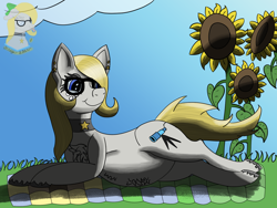 Size: 1600x1200 | Tagged: safe, artist:gray star, derpibooru exclusive, derpibooru import, oc, oc:gray star, choker, female, flower, glasses, happy, mare, pregnant, sunflower