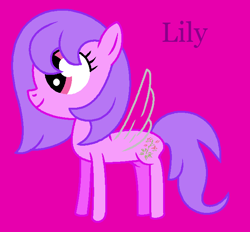 Size: 653x605 | Tagged: safe, artist:seanthedragonpony, derpibooru import, lily (g1), flutter pony, pony, g1, g4, cute, female, g1 lilybetes, g1 to g4, generation leap, magenta background, mare, purple text, simple background, text, wings