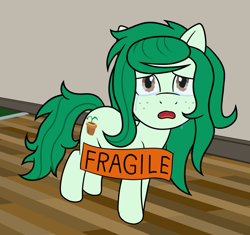 Size: 1132x1066 | Tagged: safe, artist:scraggleman, wallflower blush, earth pony, pony, crying, equestria girls ponified, female, freckles, mare, meme, open mouth, ponified, ponified animal photo, ponified meme, sad, solo, sticker, teary eyes