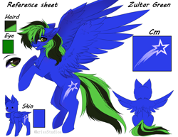 Size: 4391x3383 | Tagged: safe, artist:krissstudios, derpibooru import, oc, oc:zultar green, pegasus, pony, male, reference sheet, solo, stallion