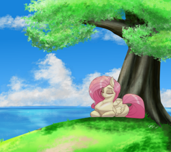 Size: 3600x3200 | Tagged: safe, artist:inky_mitts, derpibooru import, fluttershy, pegasus, pony, cute, eyes closed, female, high res, lying down, mare, ponyloaf, prone, shyabetes, signature, sleeping, solo, tree