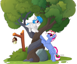 Size: 3190x2655 | Tagged: safe, artist:kawaiizhele, derpibooru import, oc, oc:gentle winds, oc:steam loco, pegasus, pony, bird house, commission, cute, folded wings, goggles, intertwined trees, oc x oc, pegasus oc, rock, shipping, simple background, standing, transparent background, tree, wings, ych result