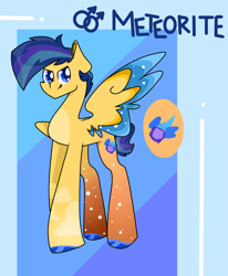 Size: 1244x1507 | Tagged: safe, artist:goldlines005, derpibooru import, oc, oc only, pegasus, pony, abstract background, hoof polish, male, pegasus oc, solo, stallion, two toned wings, wings