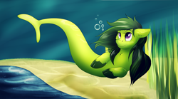 Size: 1000x556 | Tagged: safe, artist:xblueashesx, derpibooru import, oc, oc only, hybrid, merpony, seapony (g4), bubble, chest fluff, digital art, ear fluff, ears, eyelashes, female, fish tail, flowing mane, green mane, looking up, ocean, purple eyes, sand, seaweed, smiling, solo, tail, underwater, unshorn fetlocks, water