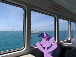 Size: 2800x2100 | Tagged: safe, artist:sonofaskywalker, derpibooru import, twilight sparkle, twilight sparkle (alicorn), alicorn, pony, female, ferry, florida, irl, mare, photo, ponies in real life