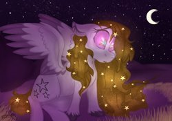 Size: 1630x1140 | Tagged: safe, artist:millefaller, derpibooru import, oc, oc only, pegasus, pony, crescent moon, ethereal mane, female, mare, moon, night, outdoors, pegasus oc, sitting, starry eyes, starry mane, stars, transparent moon, two toned wings, unshorn fetlocks, wingding eyes, wings