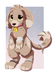 Size: 1280x1762 | Tagged: safe, artist:pridark, derpibooru import, oc, oc:cinnamon (dog), diamond dog, fallout equestria, bandage, dirty, slave, slave collar, solo