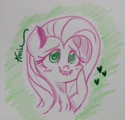 Size: 2754x2636 | Tagged: safe, artist:c.a.m.e.l.l.i.a, derpibooru import, fluttershy, green background, plushie, simple background, traditional art