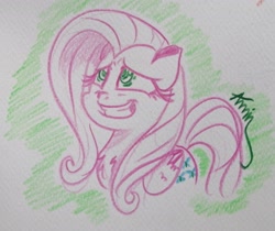 Size: 3157x2654 | Tagged: safe, artist:c.a.m.e.l.l.i.a, derpibooru import, fluttershy, green background, scared, simple background, smiling, traditional art