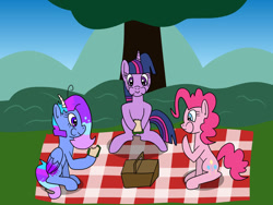 Size: 1280x960 | Tagged: safe, artist:platinumdrop, derpibooru import, pinkie pie, twilight sparkle, oc, oc:5, basket, food, picnic, picnic basket, picnic blanket, request, sandwich