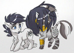 Size: 500x358 | Tagged: safe, artist:thegamercolt, derpibooru import, zecora, oc, oc:thegamercolt, earth pony, pony, zebra, big tail, confused, cutie mark, hoof fluff, silly, wig