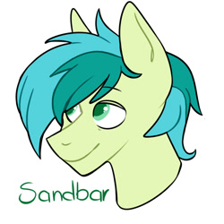 Size: 1000x1000 | Tagged: safe, artist:dymitre, derpibooru import, sandbar, earth pony, pony, bust, colt, male, simple background, smiling, solo, white background