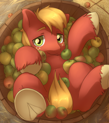 Size: 3589x4015 | Tagged: safe, artist:aquoquoo, derpibooru import, big macintosh, earth pony, pony, apple, bucket, cute, food, freckles, frog (hoof), high res, looking at you, macabetes, male, overhead view, solo, stallion, underhoof, unshorn fetlocks